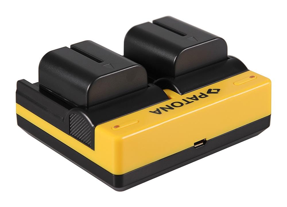 PATONA Dual Ladegerät für JVC BN-VF707U D JVCD250 JVCD270 JVCD290 JVCD73AC JVCDF430 inkl. Micro-USB Kabel