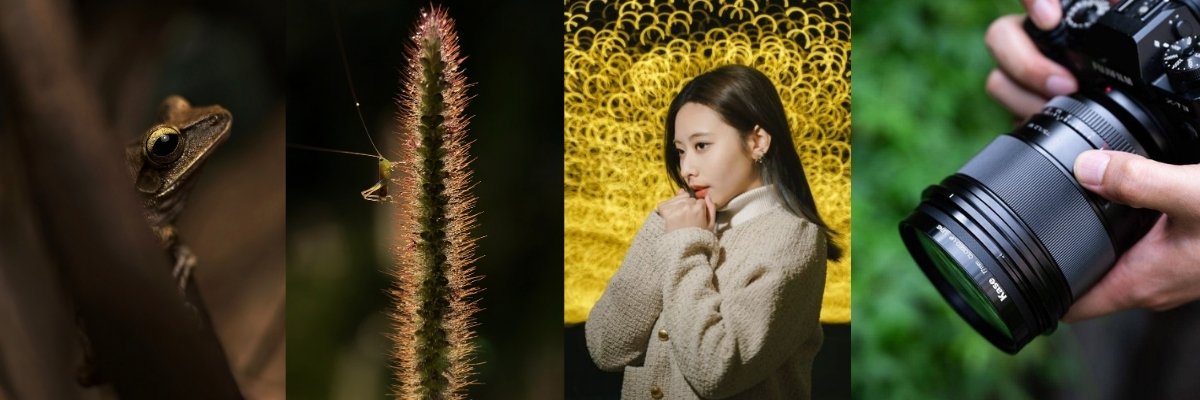 Objektive: Reflex, Porträt und mehr Objektive: Reflex, Porträt und mehr