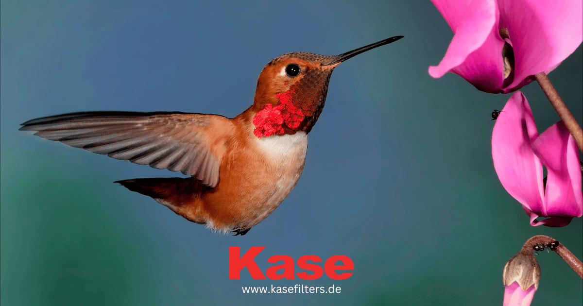 Was ist eine Verschlusszeit und wie stellt man sie ein: Tipps für tolle Fotos